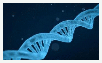 DNA Double Helix
